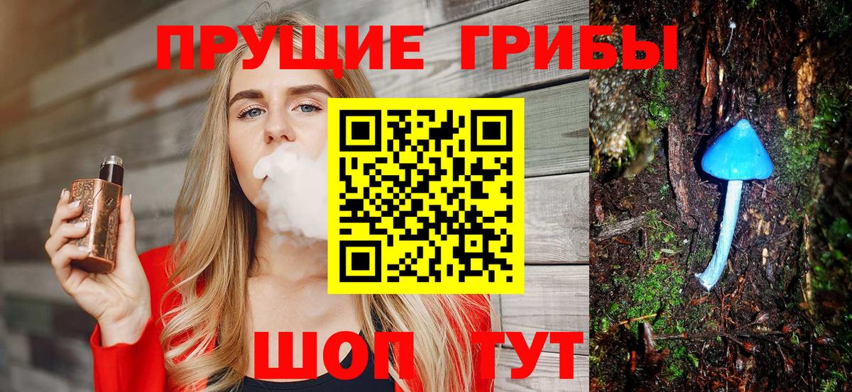 Рузаевка  Псилоцибиновые грибы Psilocybine cubensis  наркота  Вход с VPN 